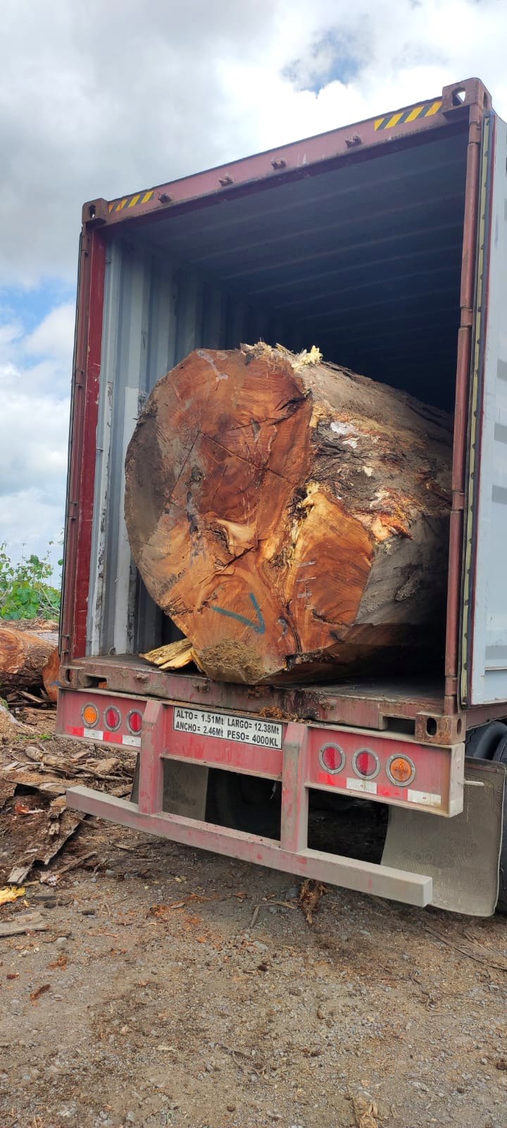 Madera cargada en contenedor
